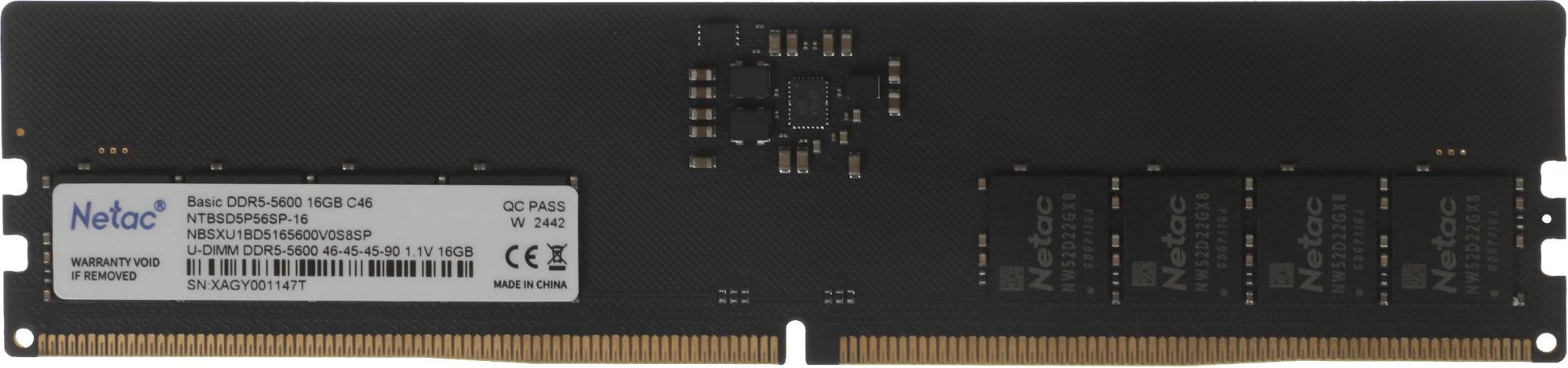Netac DDR5 DIMM 16GB 5600MHz NTBSD5P56SP-16