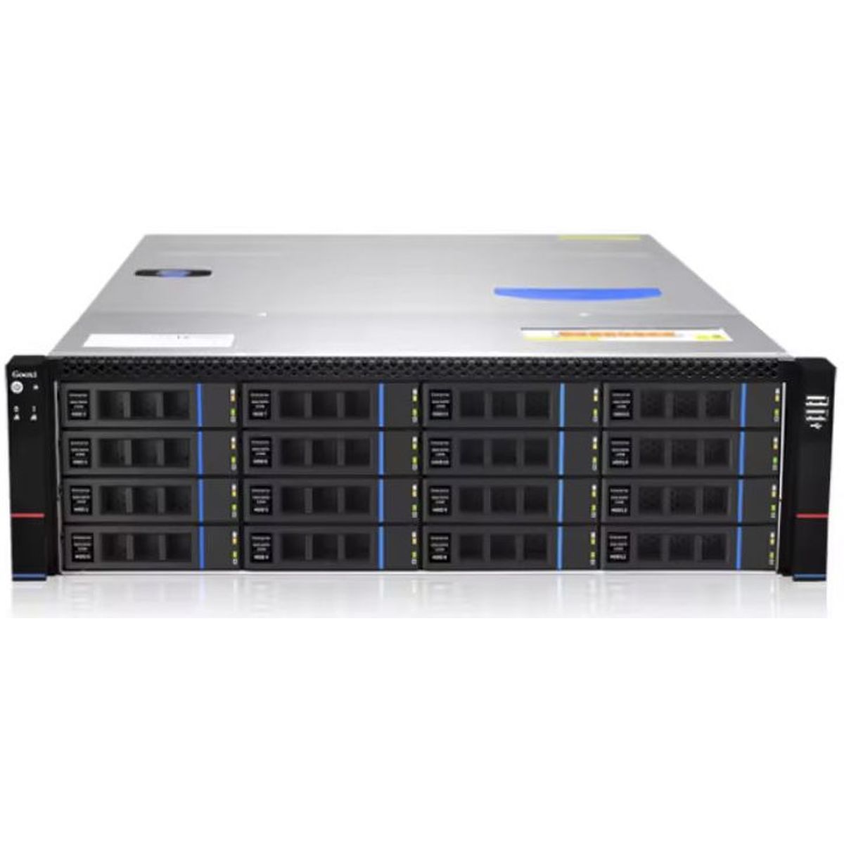 Серверный корпус/ Gooxi RMC3116-670-HS-D 3U 16bay chassis ,direct backplane rear 2*2.5"SAS/SATA 1300W 1+1 EU power cables rail kit