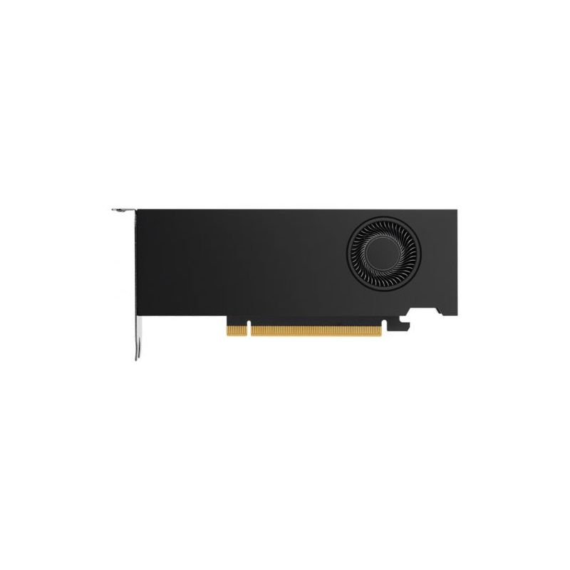 NVIDIA RTX A2000 12 GB (900-5G192-2551-000)