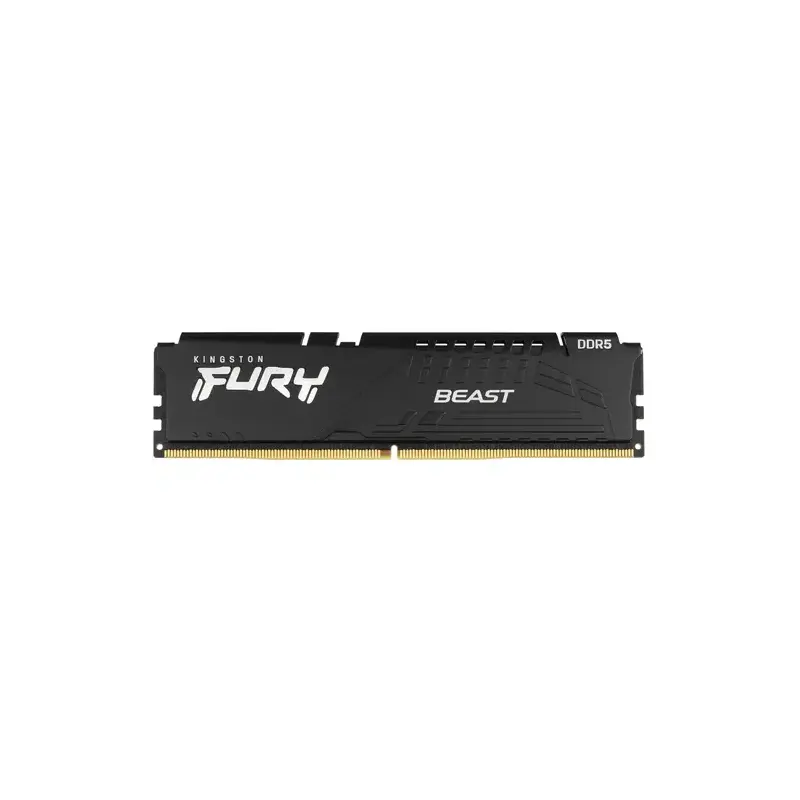 Kingston FURY Beast Black EXPO